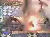 Dog goes BANG