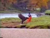 Salmon Advert
