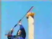Cat on Pole
