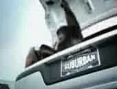 Trunk Monkey