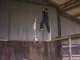 Old school free running and tricking.