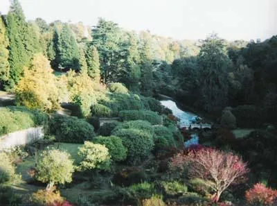 Alton Towers pictures.-12