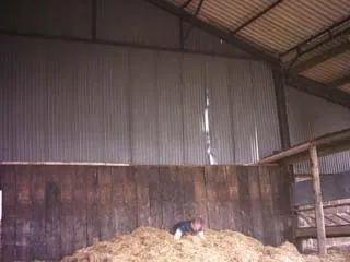 Old school free running and tricking.-2