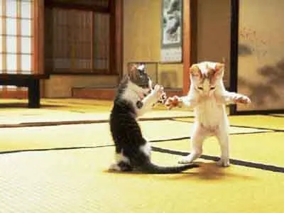 A collection of funny pictures.-4