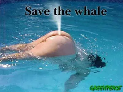 A collection of funny pictures.-6