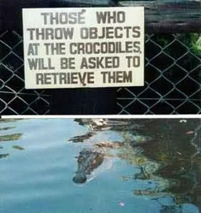 A collection of funny pictures.-8