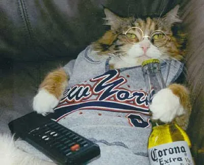 A collection of funny pictures.-10