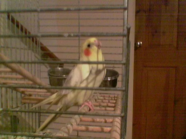 Random Pictures 3-4