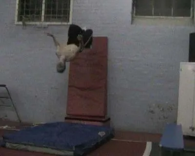 Tricking Pictures 01-18